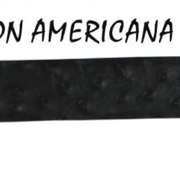 CINTO DE IMITACION CON HERRAJE NEGRO PLATEADO PIEDRA CLARA-PI03596