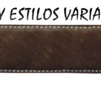 CINTO DE CINTILLA COLORES Y ESTILOS VARIABLES-CC02077