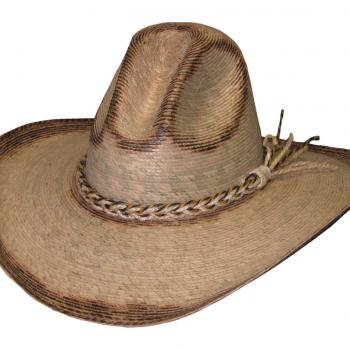 SOMBREROS SAHUAYO ROBAVACAS PINTADO-SO95014