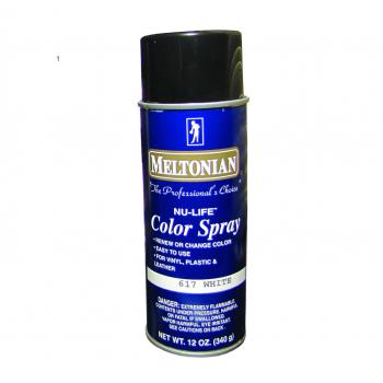 Color para zapatos en aerosol Spray color for any shoes of leather