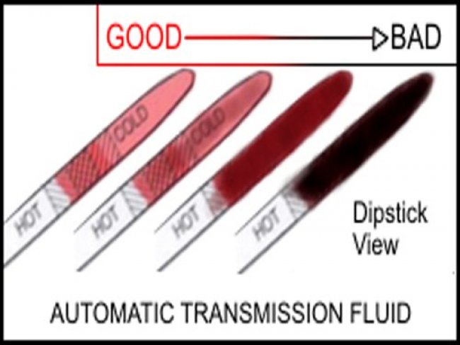 Fluid Color