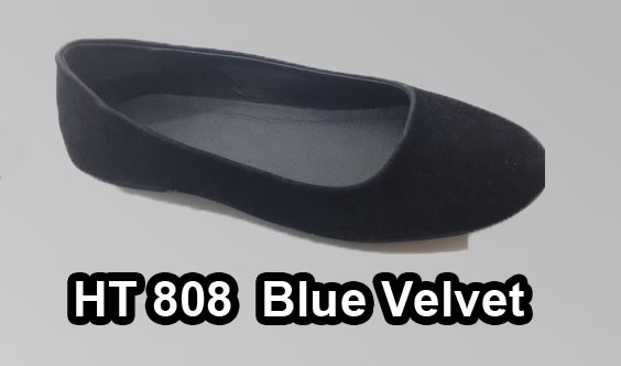 WOMEN SHOES CODIGO 0650 HT 808 BLUE VELVET