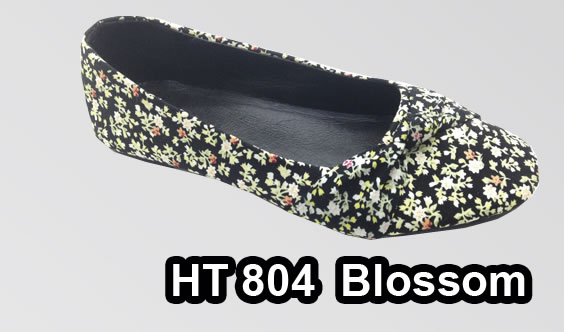 WOMEN SHOES CODIGO 0650 HT 804